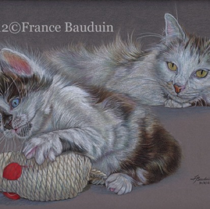 Tired Watch
Daler-Rowney Pastel paper
12.5" x 17"
Melvyn (2nd litter) & Laila